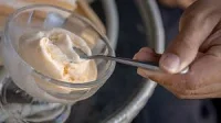 Danone USA recalls So Delicious Dessert Recall over stones