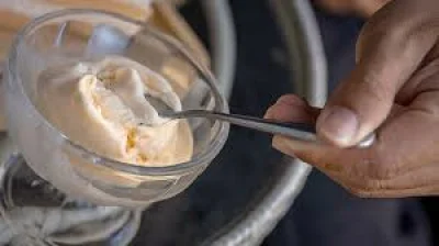 Danone USA recalls So Delicious Dessert Recall over stones