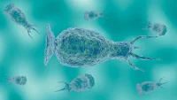 Moises Ponce Mendoza Death Tied to Brain-eating Amoeba Exposure