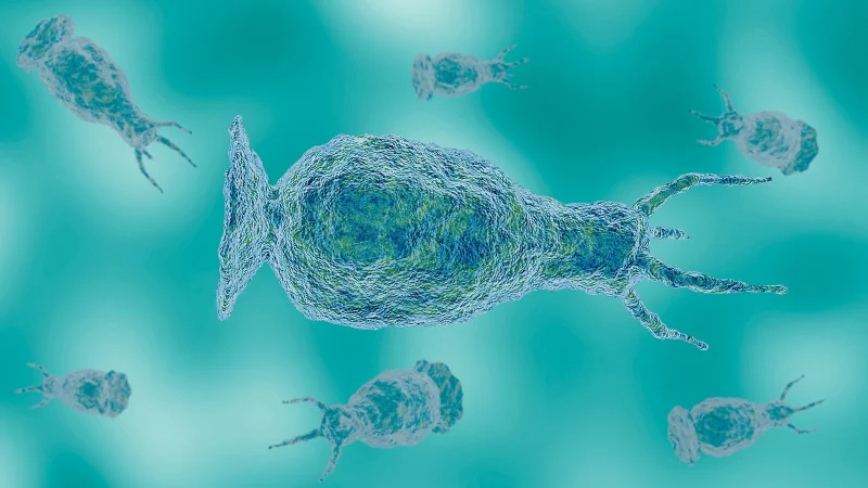 Moises Ponce Mendoza Death Tied to Brain-eating Amoeba Exposure
