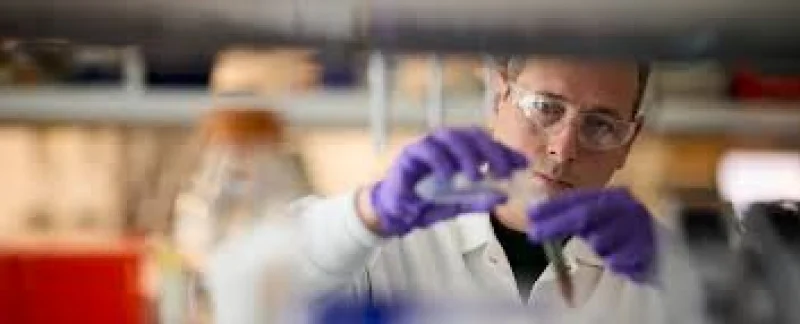 US FDA approves Inluriyo-Verzenio for 11.1-month delay — Fda Approval For Verzenio By Eli Lilly
