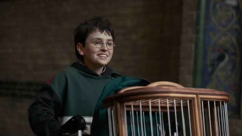 Harry Potter Cast Faces Limits on HBO Dance Scene in Deathly Hallows — Harry Potter Cast