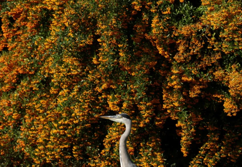Autumn Solstice arrives Tuesday at 8:05 p.m. Eastern time