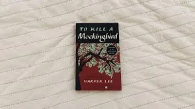 Olivia Haysman-Walker spots rare First US Edition at Portobello Road Charity Shop