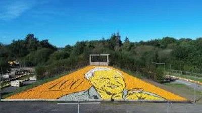 David Attenborough Pumpkin portrait set with more than 10,000 pumpkins