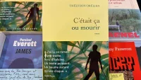 Thelyson Orelien story offers only Euronews promotional copy