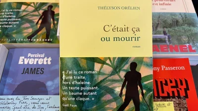 Thelyson Orelien story offers only Euronews promotional copy