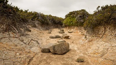 Prof Mat Collins says Godzilla El Niño could reach 4C above average