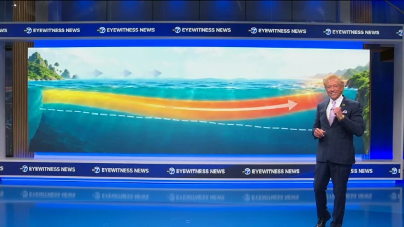 Severine Fournier says Kelvin Wave 2026 could lift California seas