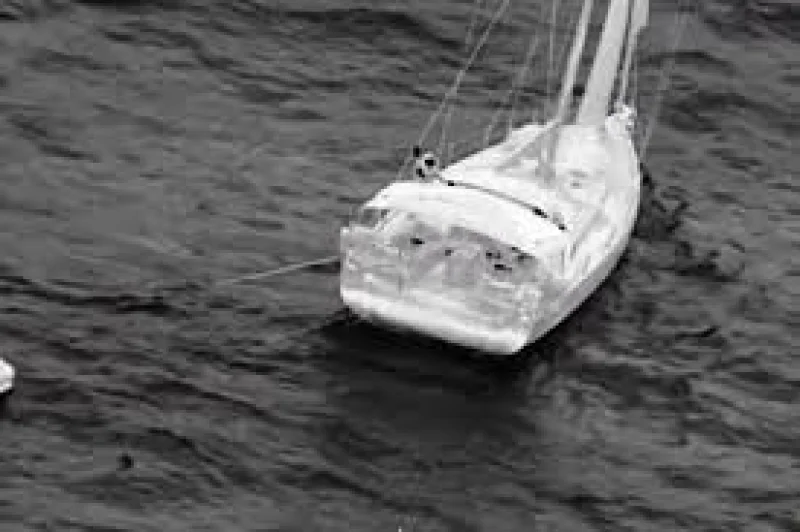 Jemma Cooper describes Tai Tam sinking after whale collision — Sailors Rescued After Whale Collision