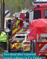 Gavin Robinson says two died after workplace incident in County Down