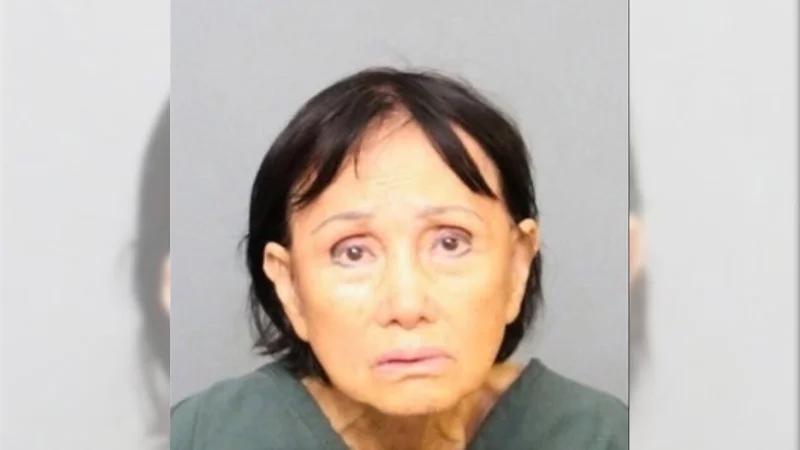 Hahn Nguyen Arrested in Puppy Case After Santa Ana Video