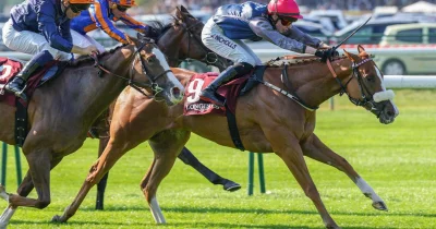 Longchamp Results: Daryz wins second straight Arc as repeat triumph lands in rare company