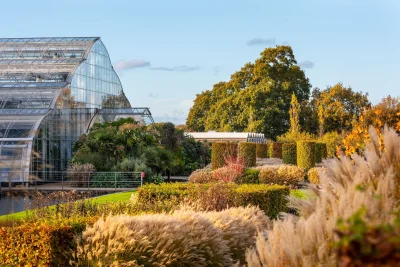 Clare Matterson says Royal Horticultural Society got £2.3 million after Wisley disruption