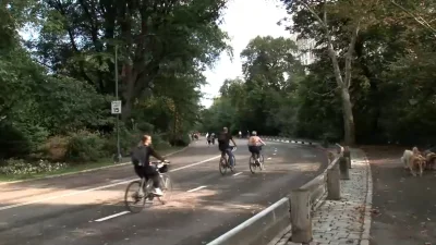 NYPD says 71-year-old dies in Central Park Cyclist-dog Collision