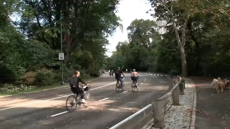 NYPD says 71-year-old dies in Central Park Cyclist-dog Collision