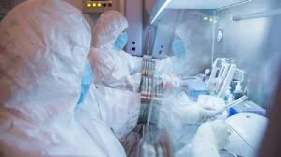 Dmitry Peskov Cools Rumours After Death At Siberia Plague Centre — Russian Plague Outbreak Of Bubonic Plague