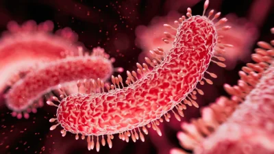 CDC: Sexually Transmitted Diarrheal Disease, Shigella Resistance Reaches 8.5% in 2023