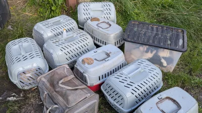 Paul Nijjar details 26 Cats Found In Sealed Boxes in Birmingham