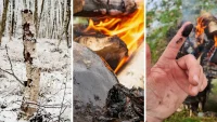 Tjaark Siemssen study links Neanderthals to birch tar's antibacterial effect