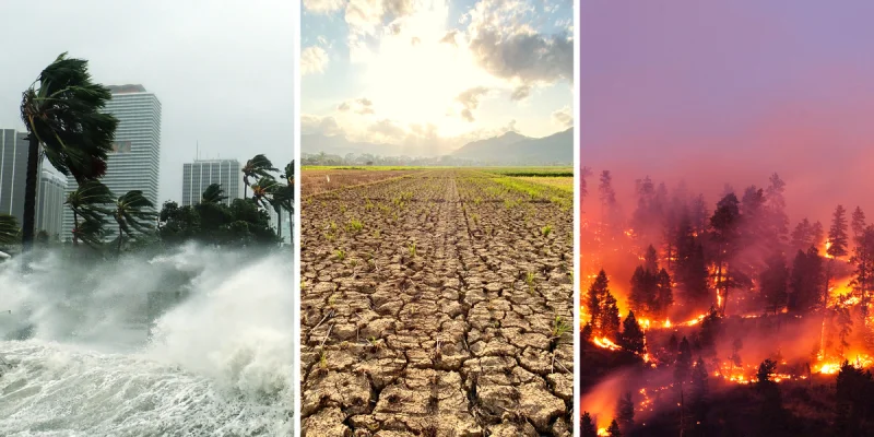 NOAA says Super El Niño may shape Us Cold Weather Forecast In Winter