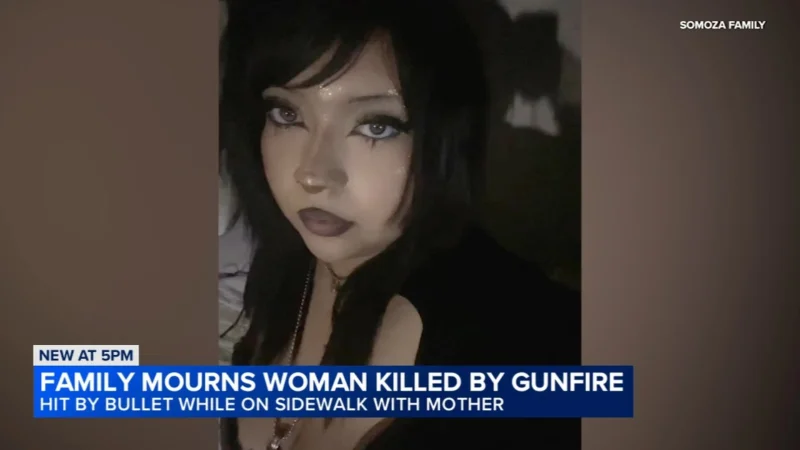 Abbygail Somoza killed in Chicago Small Village shooting