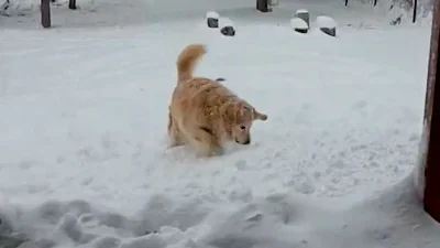 Montana Snow Today: Warnings bring 10 to 20 inches in Montana