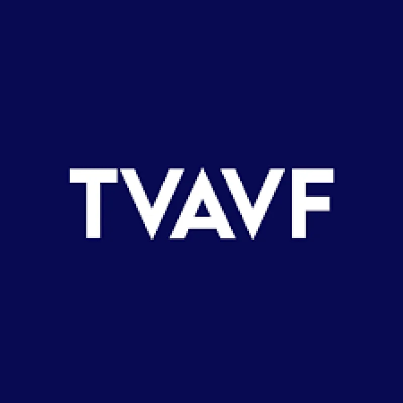Lior Vider Says Tase Gains Rest on a Few Heavy Stocks