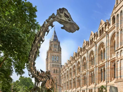 Cassius Morrison identifies New Dinosaur Species Invictibellatrix amberina
