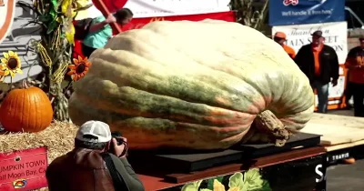Travis Gienger wins fifth world title with 2,389-pound Pumpkin Rocky at Half Moon Bay