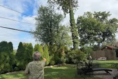 Nick Alexopulos links Sept. 3 Parkville outage to Bge overhead-line fault