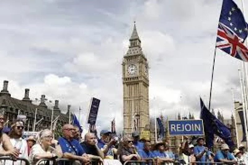 Emily Thornberry poll shows 64% want EU rejoin referendum
