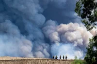 OCFA to test Paladin Industries software in Orange County — Fire In Orange County