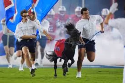 Virginia Vs Smu: Cavaliers are 9.5-point underdogs as Tony Elliott takes injury-hit team to Dallas