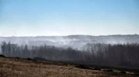 Wade Rutland says Canadian Forces Base fire moved 1 kilometre in 30 seconds