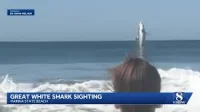 California State Parks Reports California Great White Shark Breach Near Marina State Beach
