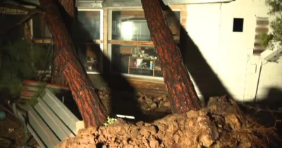 Walt Blackman reports damage after Heber-Overgaard tornado — Arizona Tornado Warnings