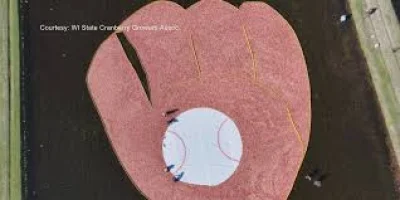 Brewers Logo inspiration comes to life as Wisconsin cranberry growers build giant glove for World Series run
