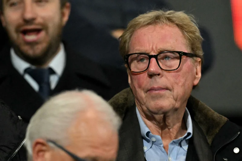 Harry Redknapp questions Premier League academy pipeline in verdict on homegrown players