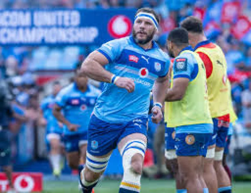 Focus On: The Power of Collective Impact — Stormers Vs Scarlets