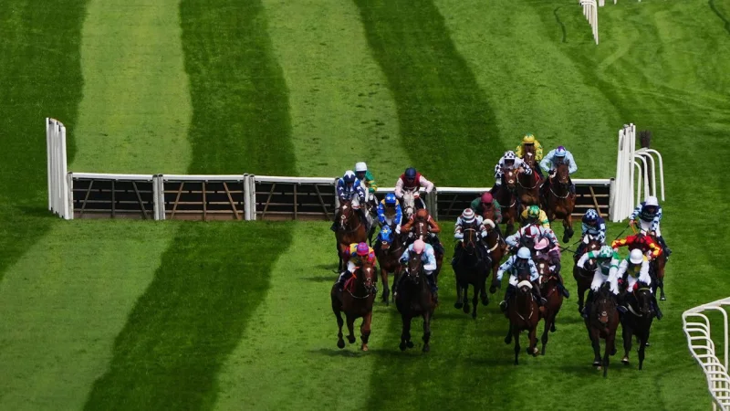 Aintree Sunday card abandoned as overnight winds reached 44mph — Aintree Old Roan Chase Cancellation