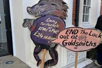 Florence Sweeney Pushes Goldsmiths University Fine Art Strike Compensation