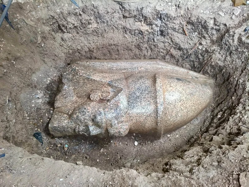 Khaled al-Shahat Leads Ramses Ii Colossal Statue Discovery In Egypt
