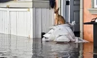 Georgia Rios says Newport Beach tide hit 8.4 feet as Southern California Floods worsen