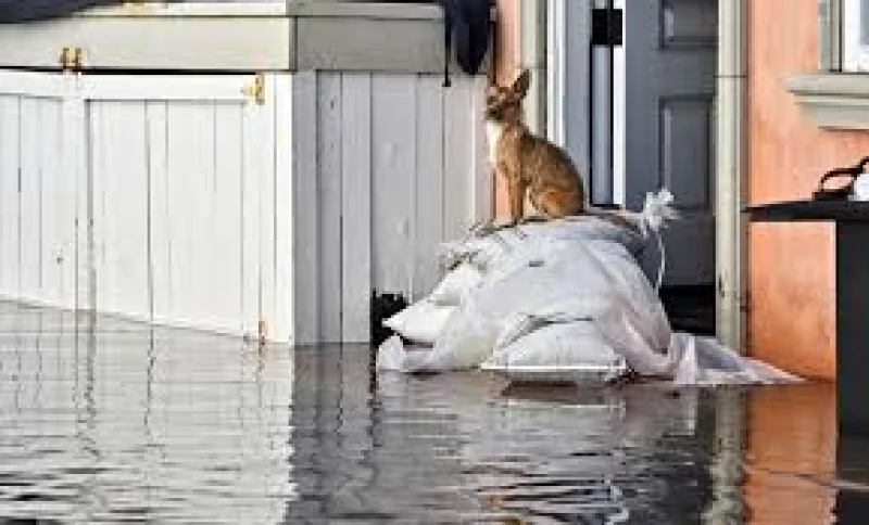 Georgia Rios says Newport Beach tide hit 8.4 feet as Southern California Floods worsen