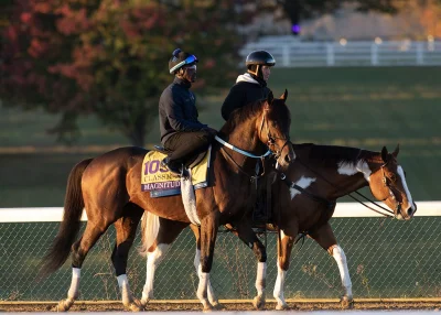 Magnitude scratched from the GI Longines Breeders' Cup Classic as Aidan O'brien Breeders' Cup Scratchings news confirms retirement to stud