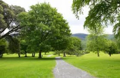 Mark Gibbons condemns pig heads left in Kilbroney Park