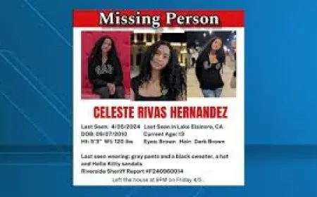 The Untold Story of d4vd: Shocking Facts, Hidden Projects, and the Dark Tesla Scandal Fans Never Expected