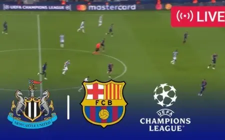 Champions League Live Updates: Man City vs Napoli, Newcastle vs Barcelona – Scores, Highlights & Reactions