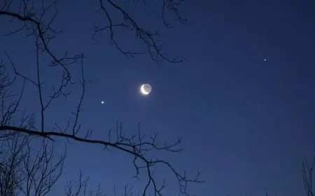 Spectacular Celestial Event Tonight: See Venus, the Moon, and Bright Stars in an Unmissable Alignment